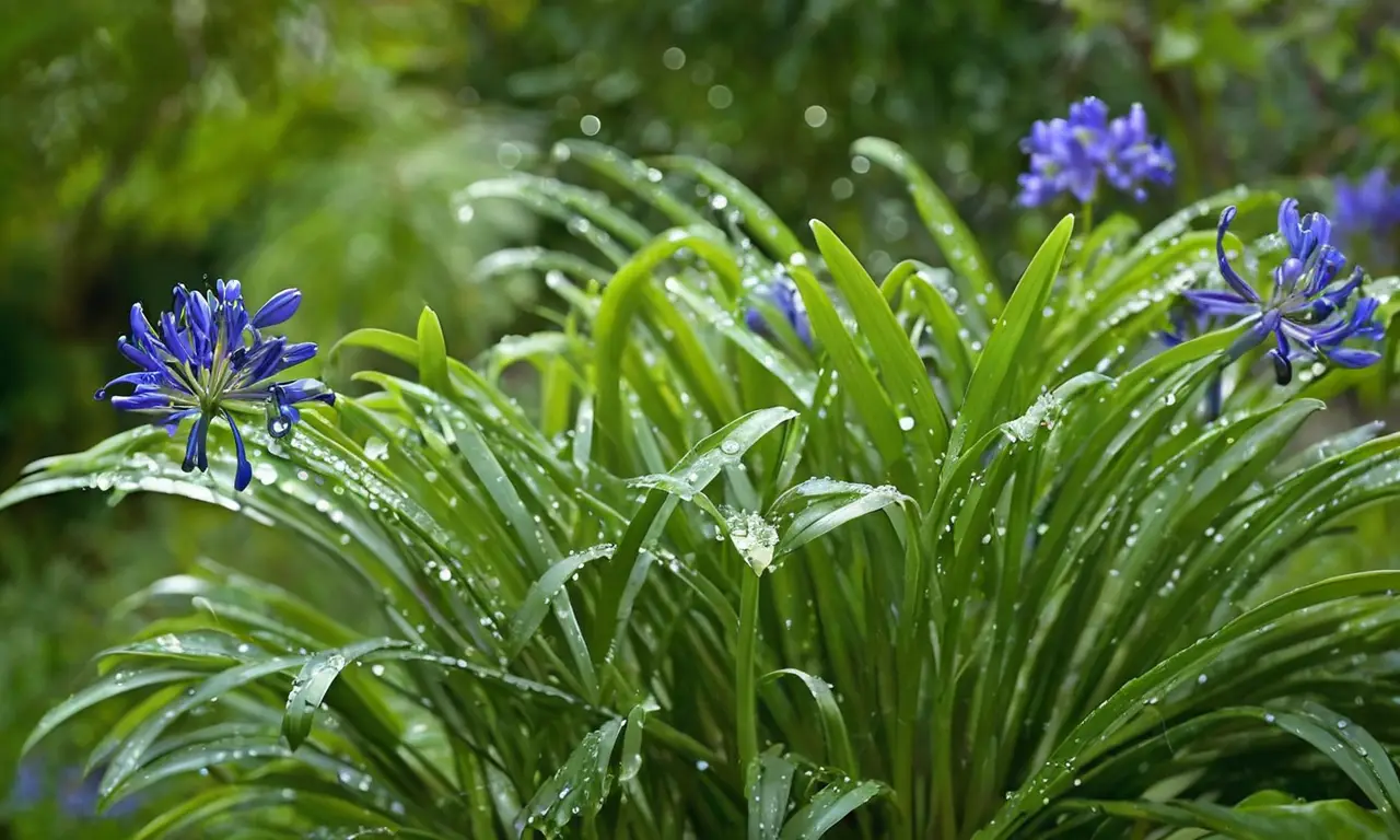 Flores de agapanto vibrantes en un jardín