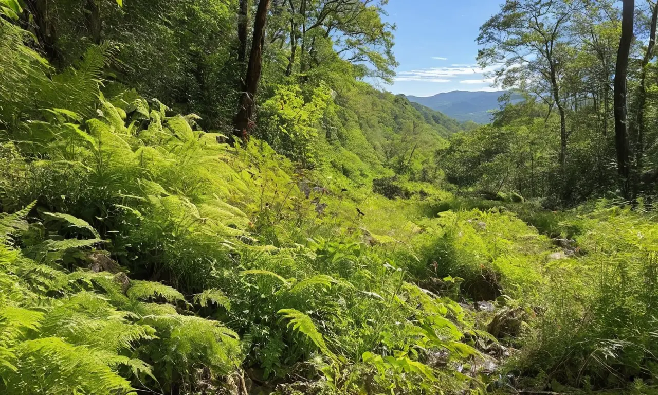 Bosque denso muestra biodiversidad frágil y hermosa