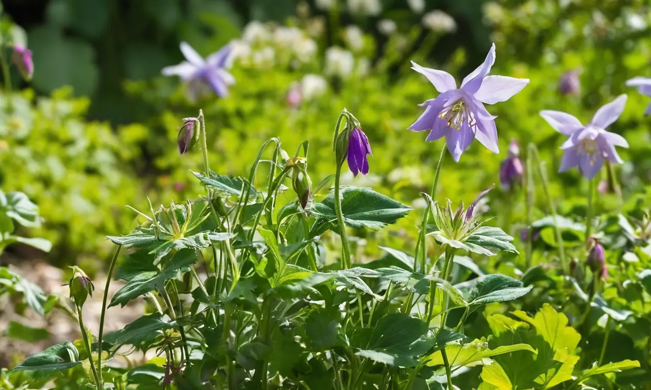 Hermosas flores y naturaleza en armonía