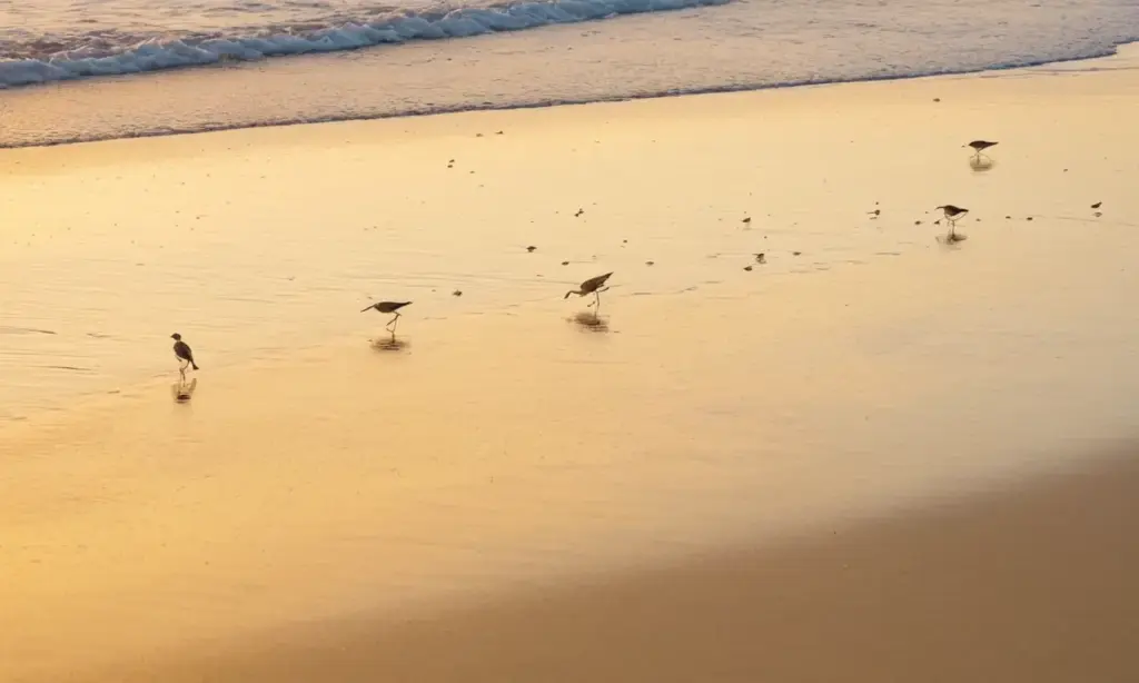 Amanecer en la playa