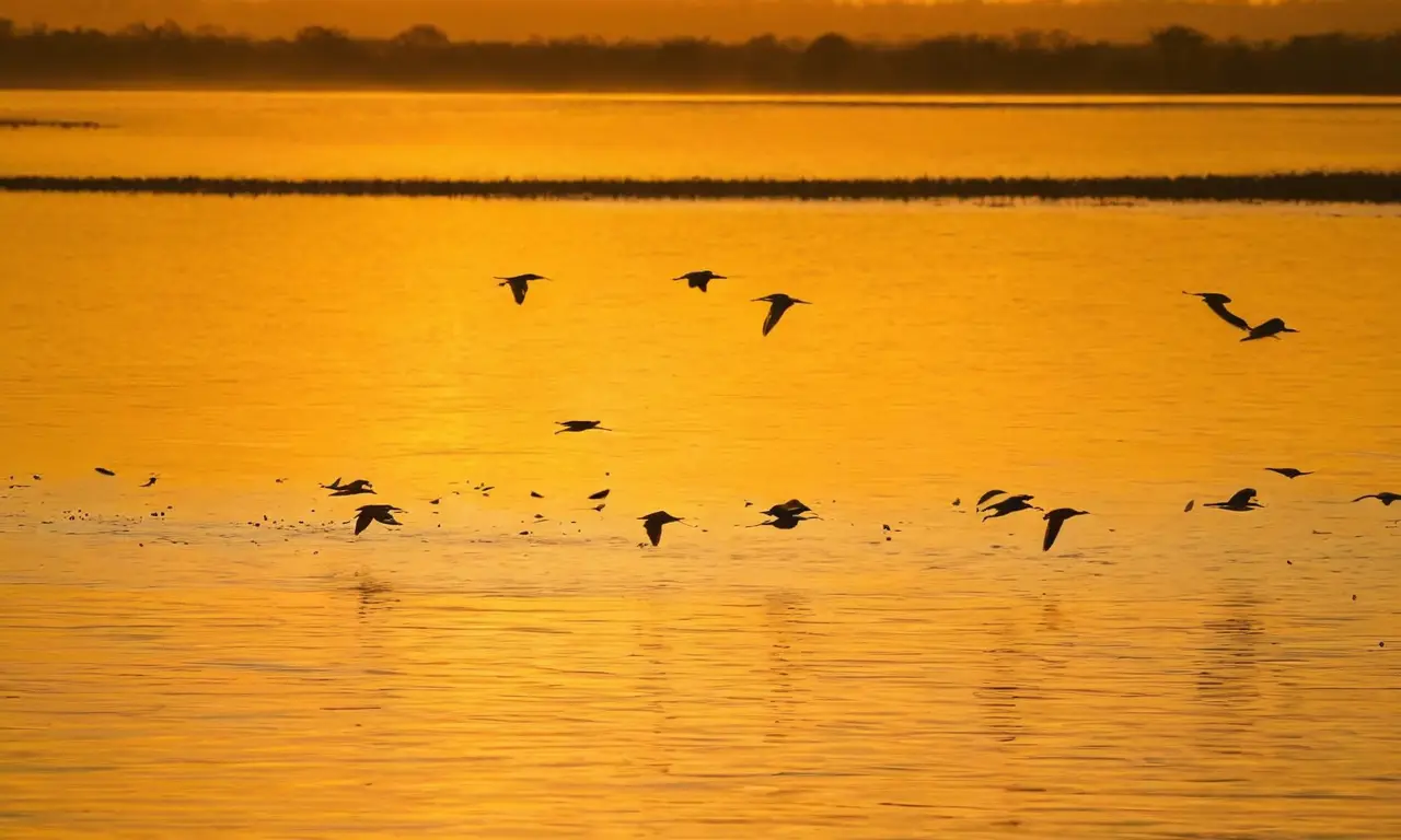 Amanecer sereno con aves migratorias en vuelo