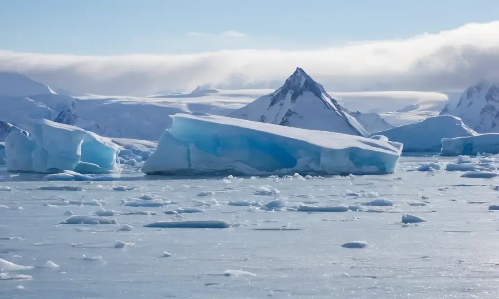 Paisaje helado con hielo