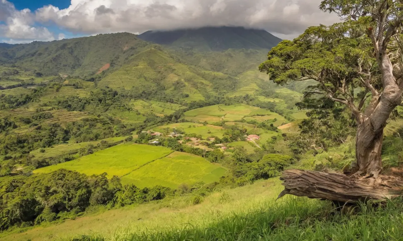 Paisaje vibrante con comunidad y desafíos ambientales