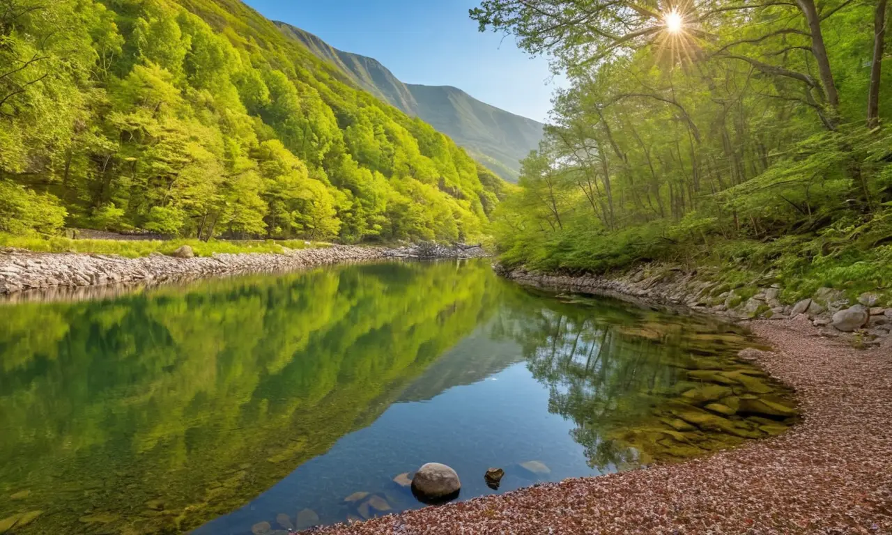 Escena serena de un río con naturaleza