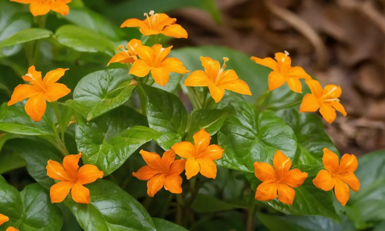 Hermosas flores naranjas en un entorno tropical