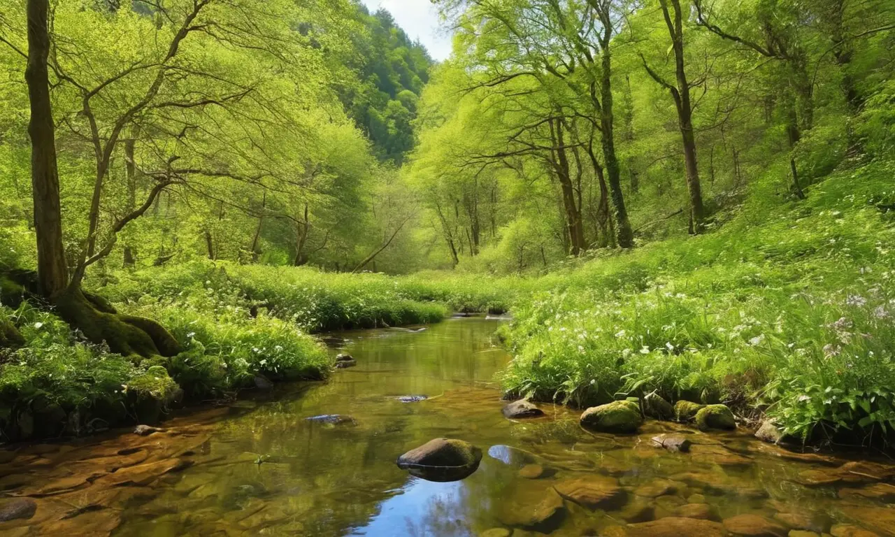Un paisaje sereno y vibrante de naturaleza