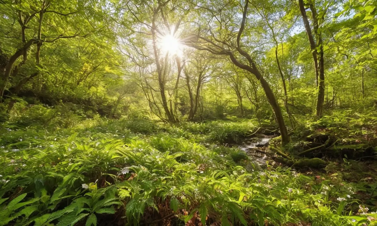 Un entorno natural vibrante y diverso