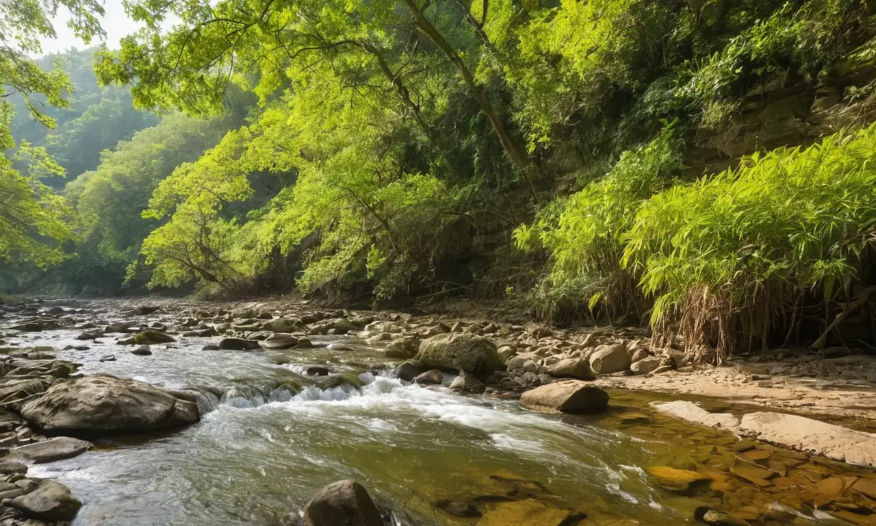 Río sereno rodeado de naturaleza exuberante