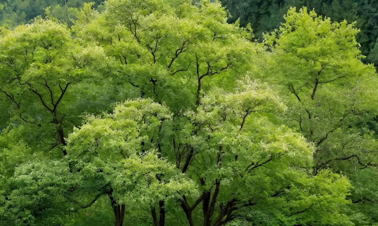 Naturaleza vibrante y exuberante en armonía