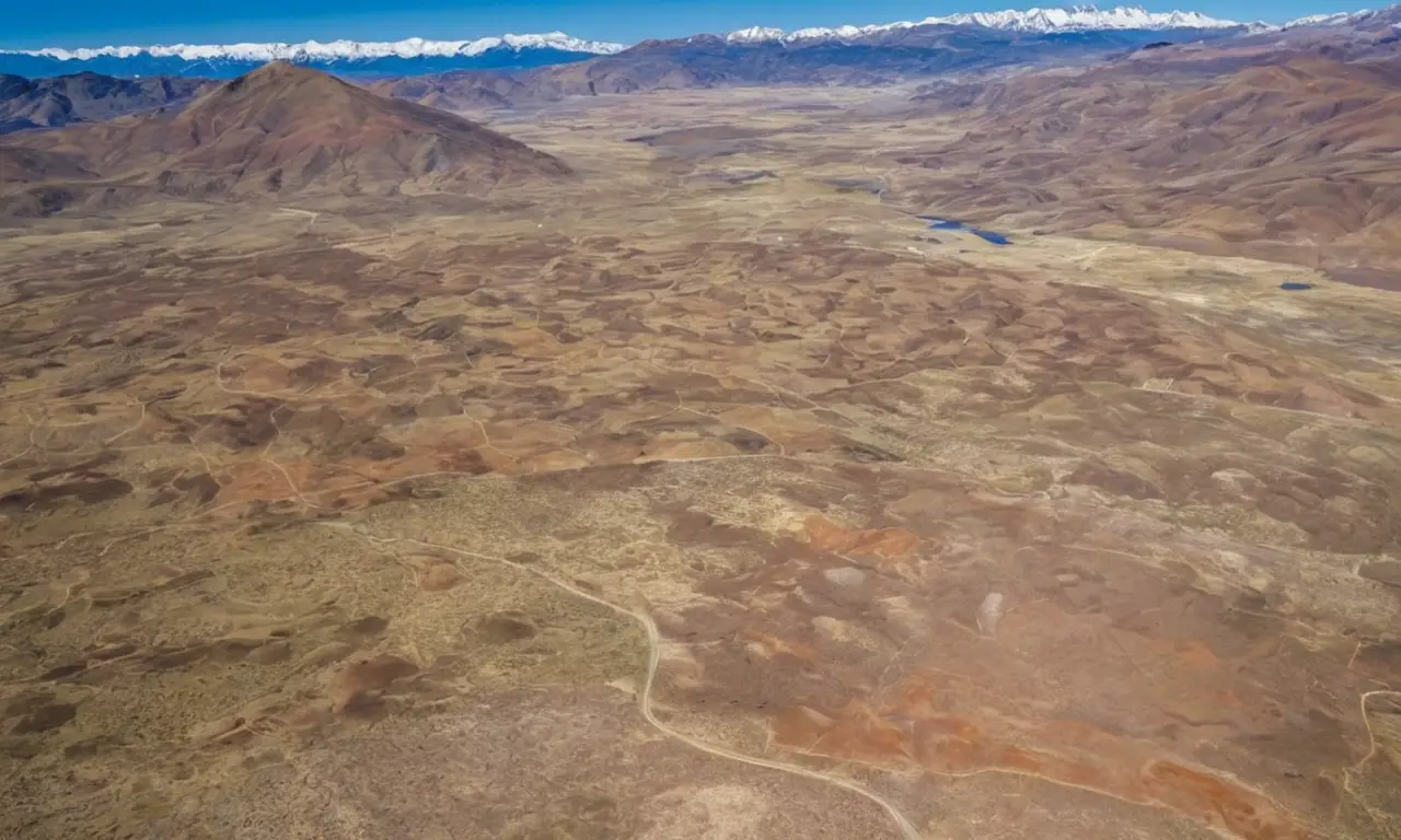 Paisaje argentino árido con fauna diversa