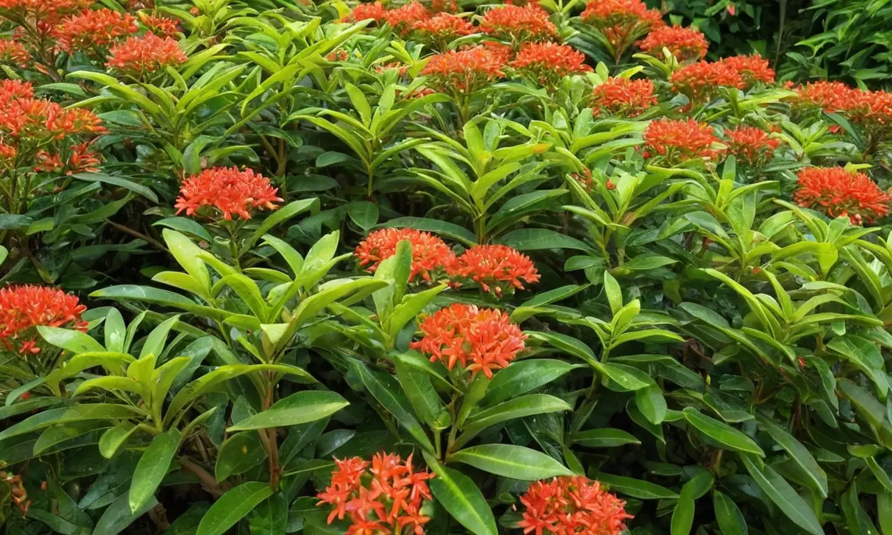 Jardín armonioso con plantas y flores vibrantes