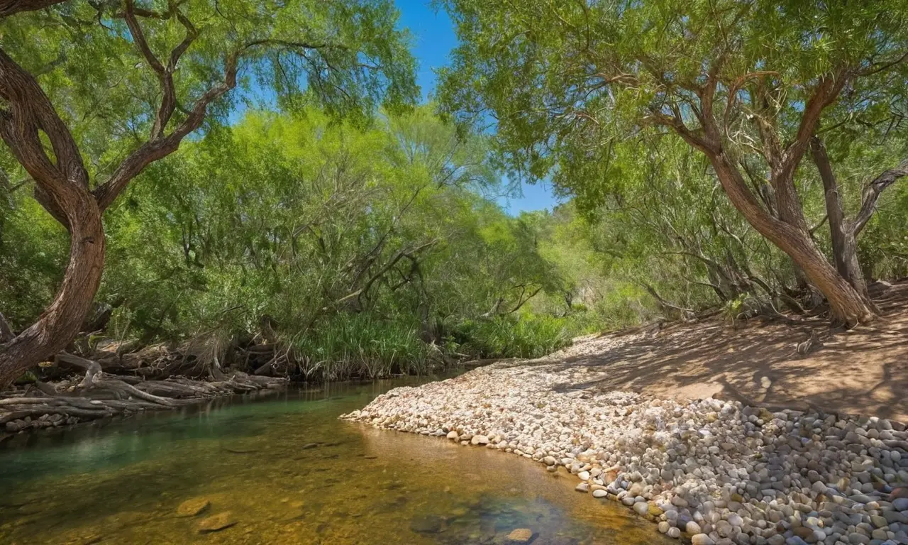 Naturaleza exuberante y armoniosa en detalle