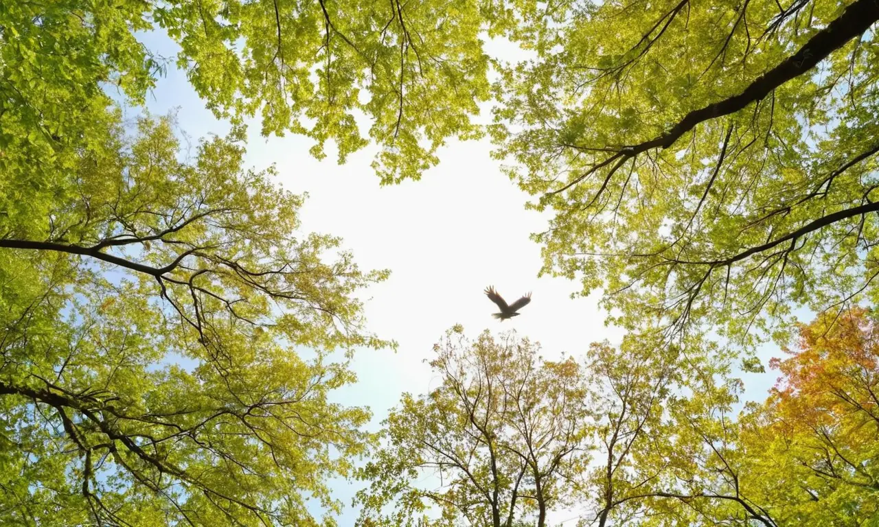 Naturaleza vibrante y serena en armonía