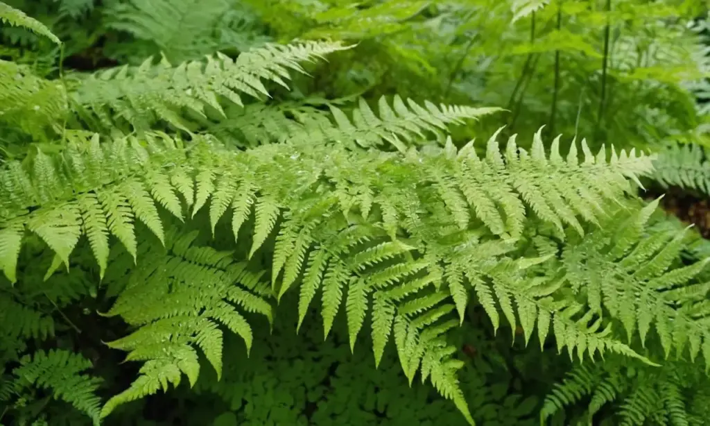 Fondas verdes y detalles naturales en calma