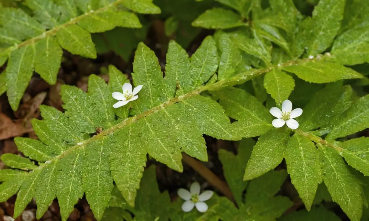 Naturaleza viva con luz y texturas variadas