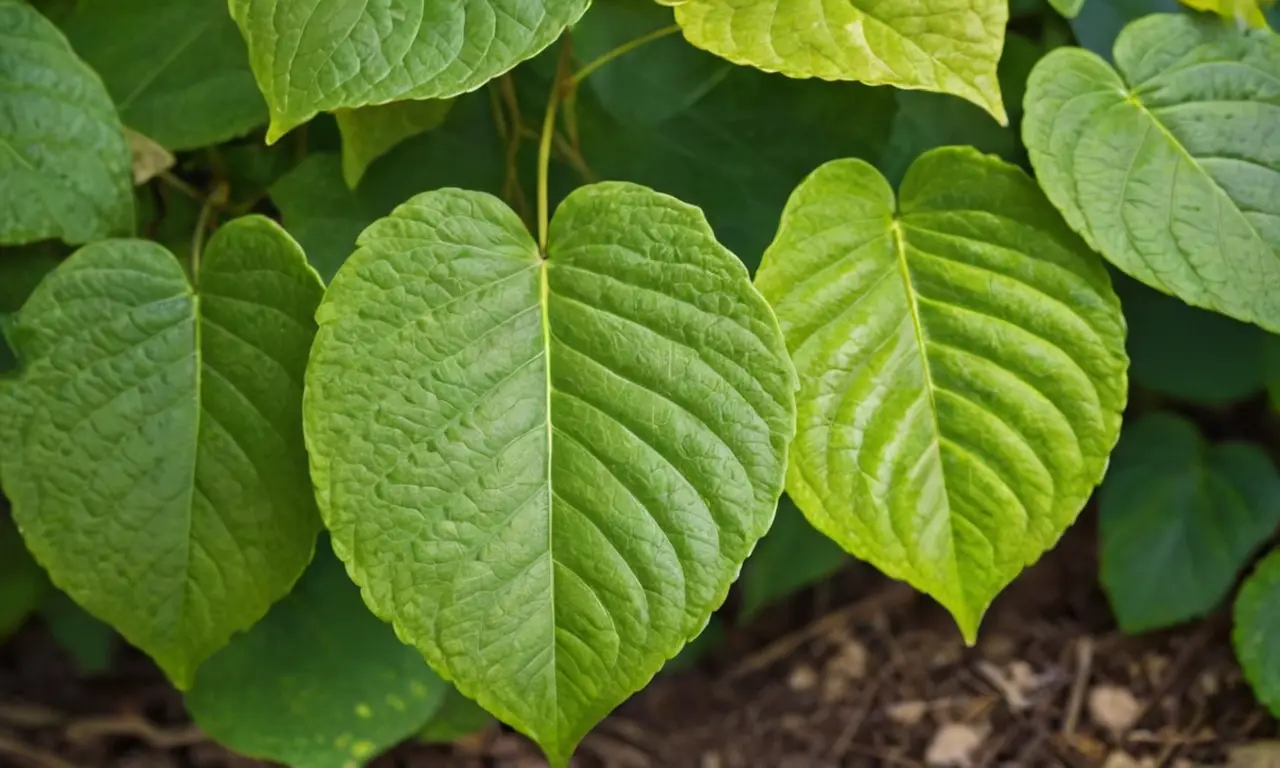 Hoja verde vibrante en un entorno sereno