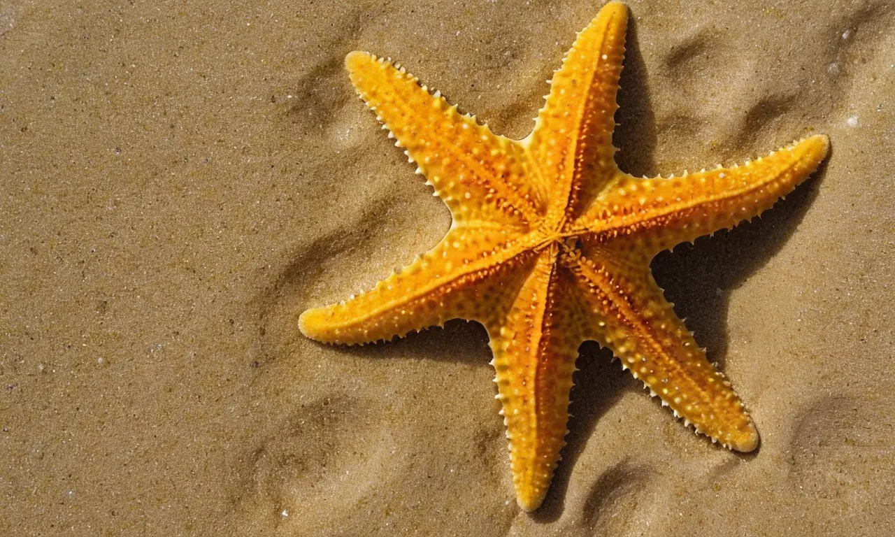 Un mar vibrante y armónico de vida