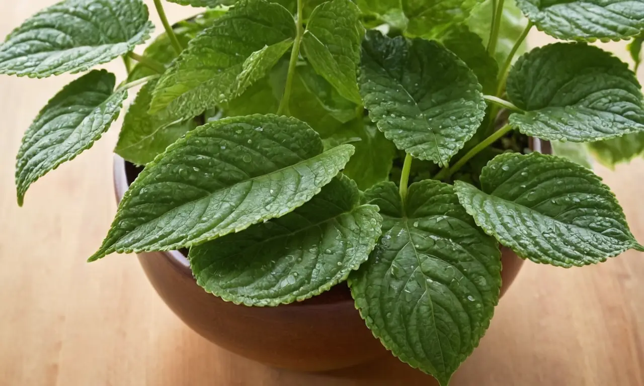 Planta verde en maceta en ambiente acogedor