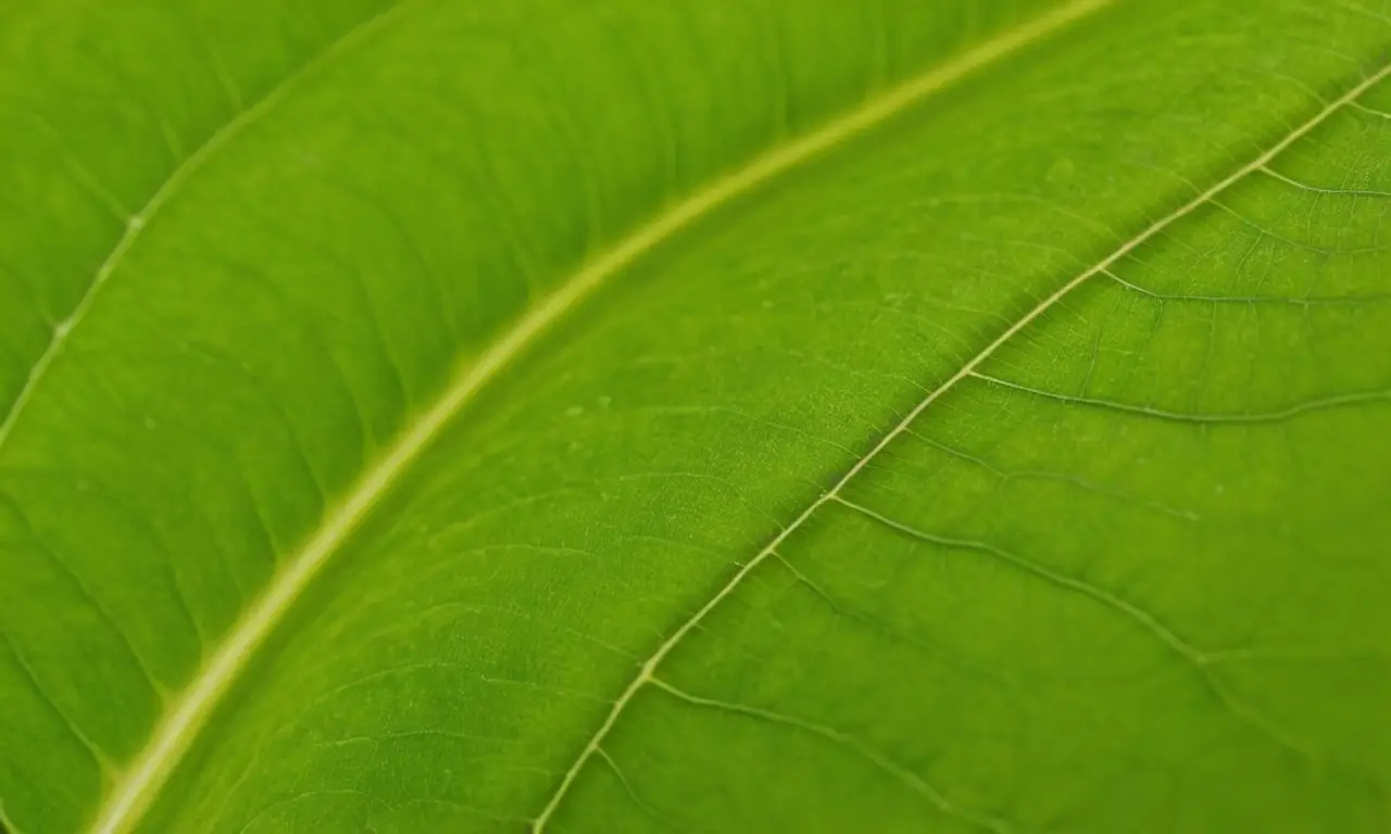 Hojas verdes brillantes con intrincados detalles