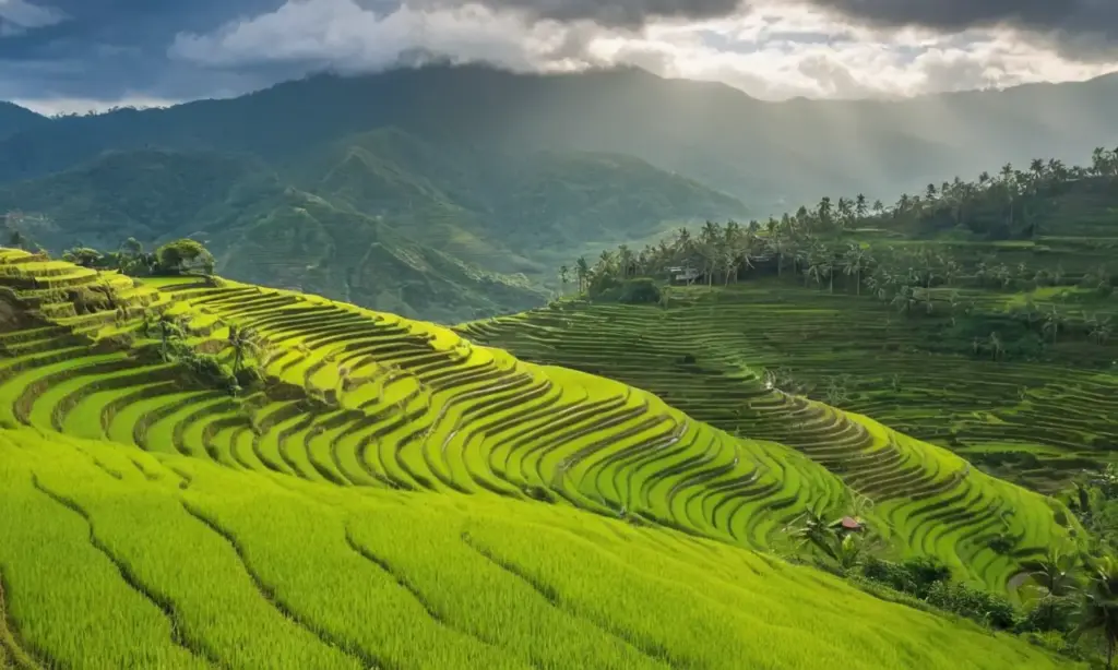 Paisajes verdes y vida vibrante en monzón