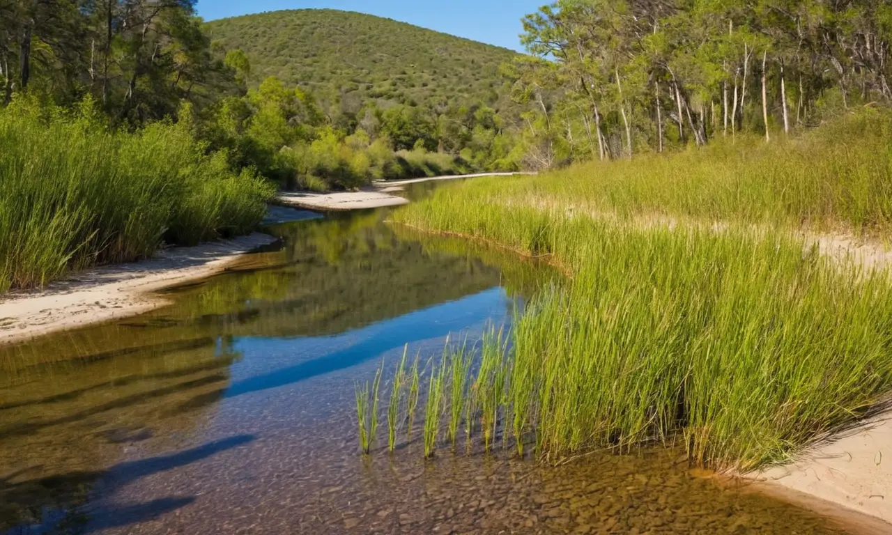 Río serpenteante con vegetación y luz