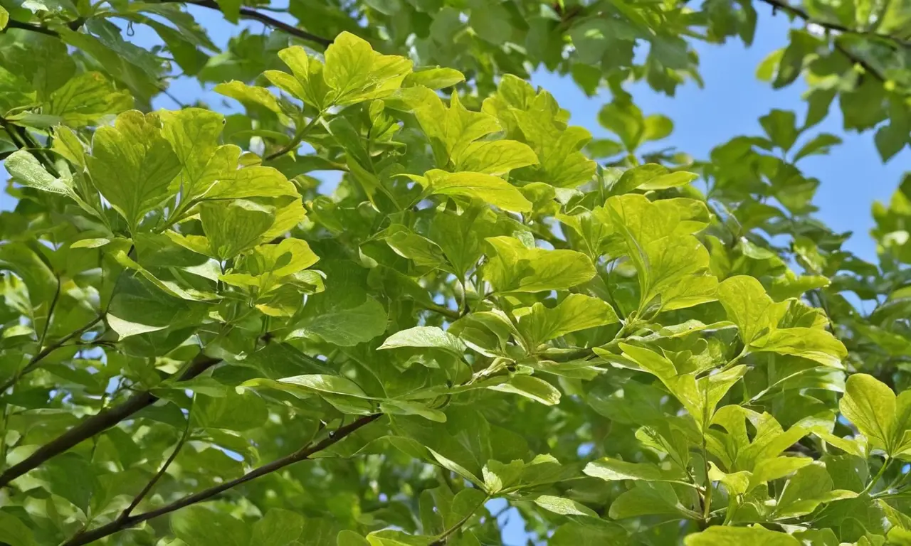 Ecosistema vibrante y diverso bajo el sol