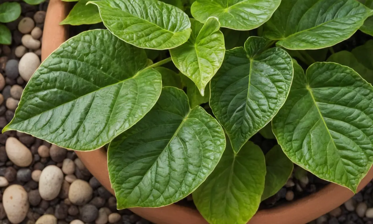 Plantas saludables en entorno luminoso y armonioso