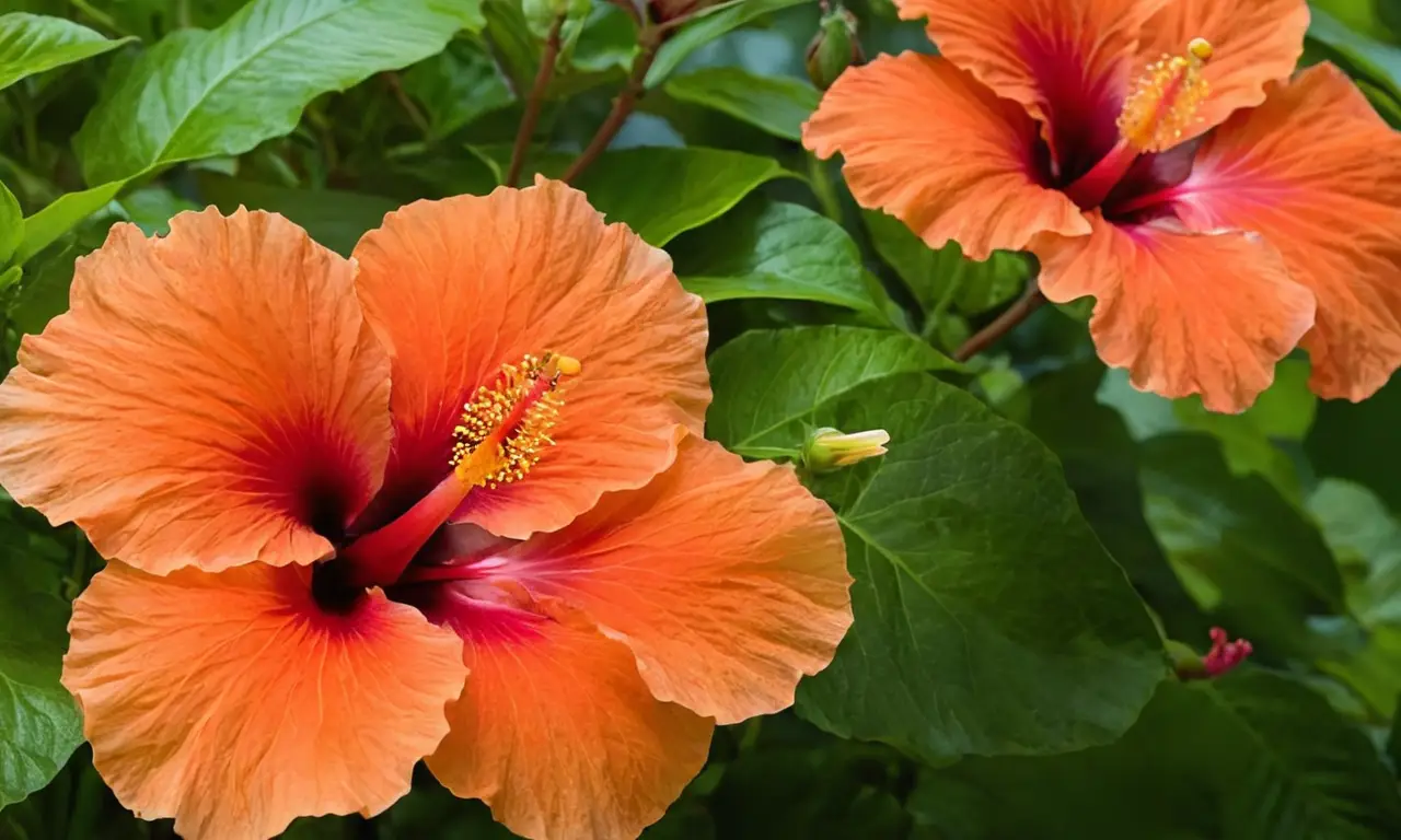 Hibiscos rojos vibrantes en un jardín tropical