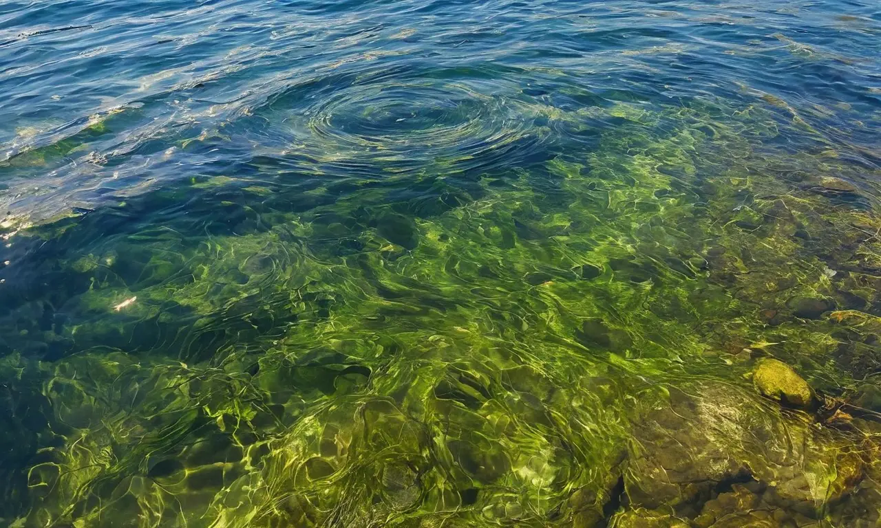Agua vibrante con patrones y matices dinámicos