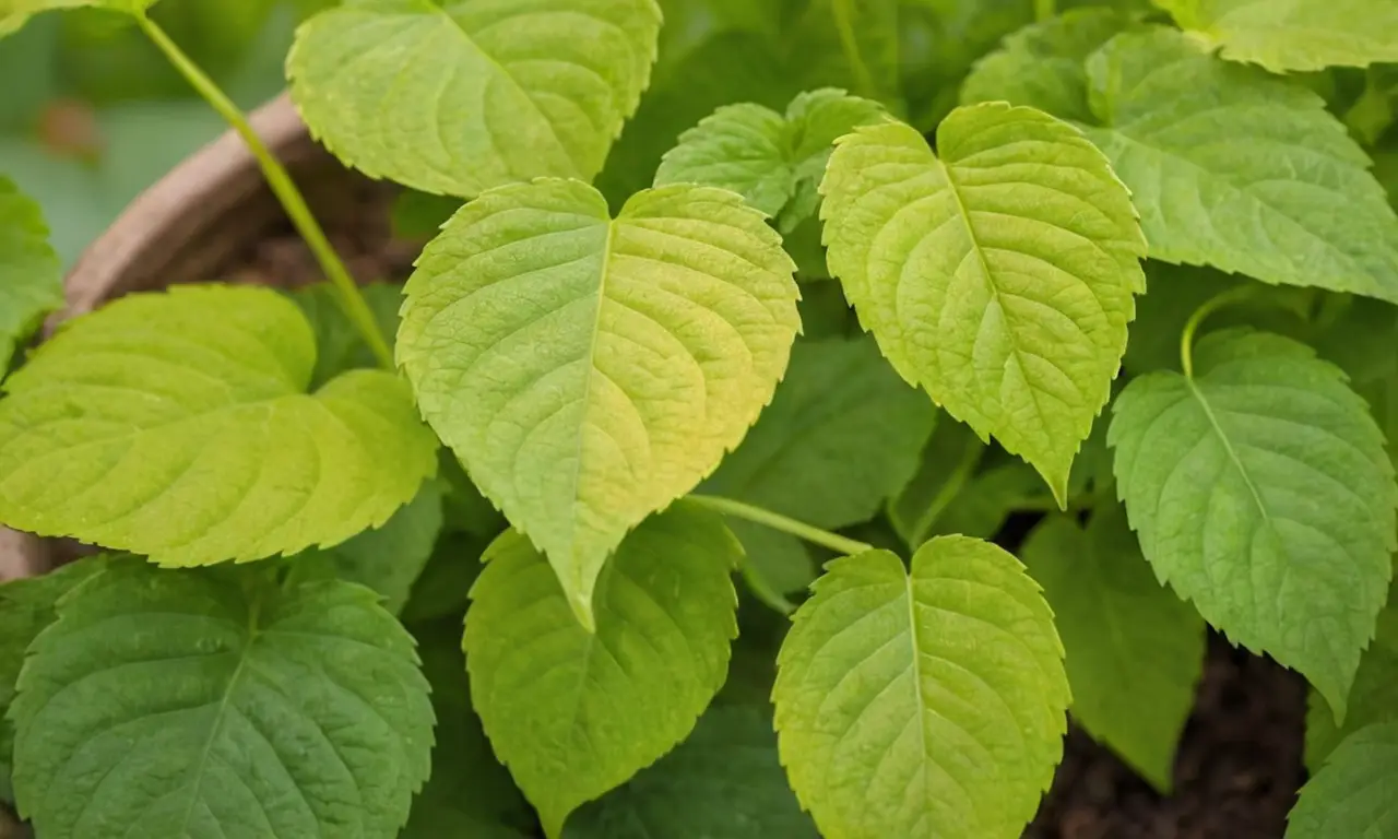 Hojas verdes vibrantes y texturas suaves