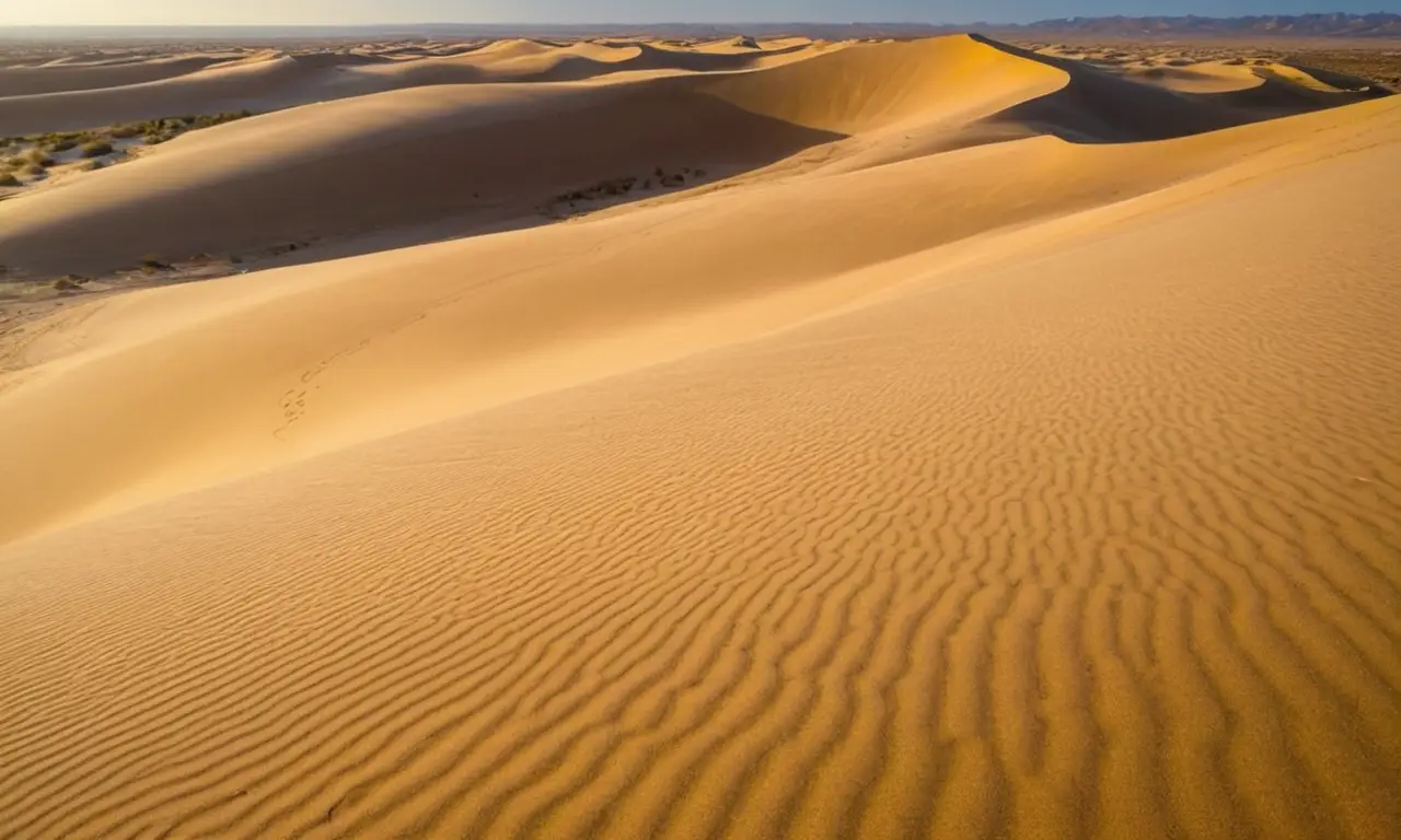 Dunas doradas crean un paisaje sereno