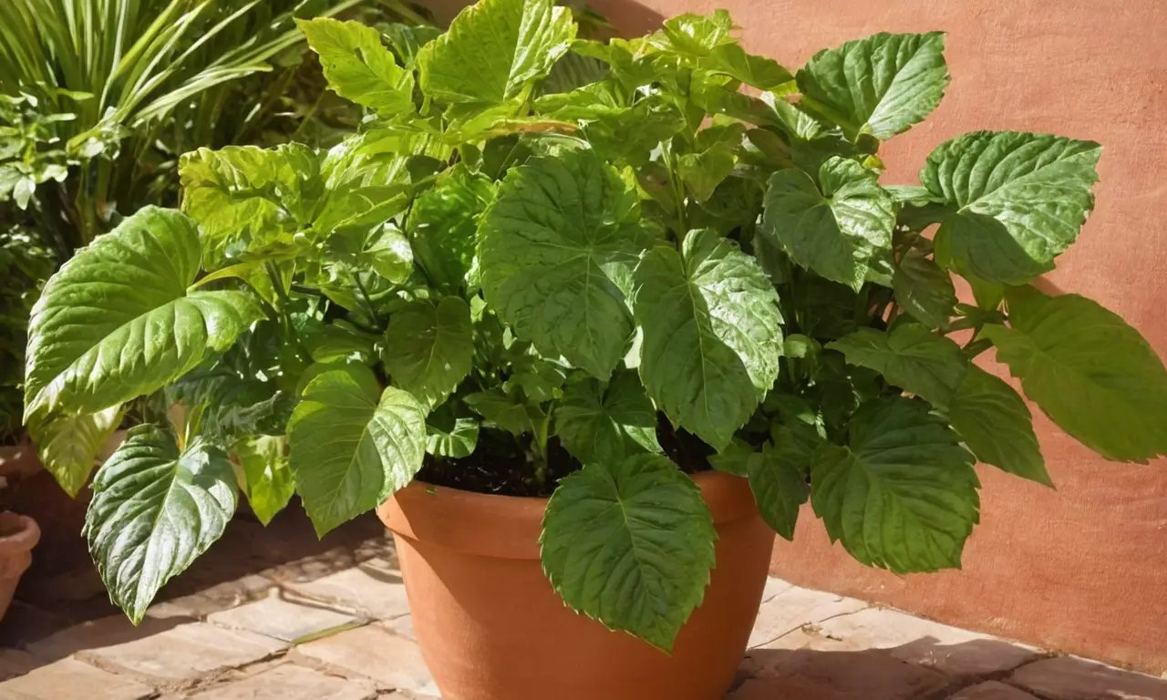Planta vibrante en maceta terrosa y soleada